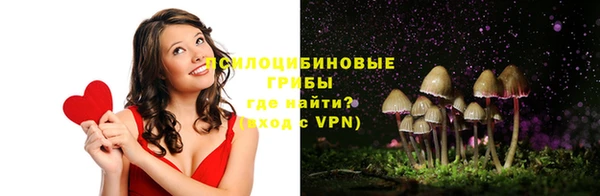 дурь Нязепетровск