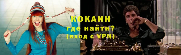 хмурый Осинники