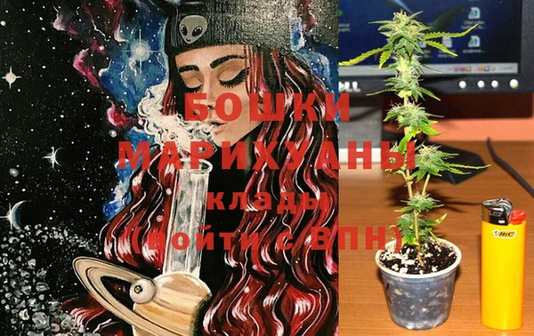 хмурый Осинники