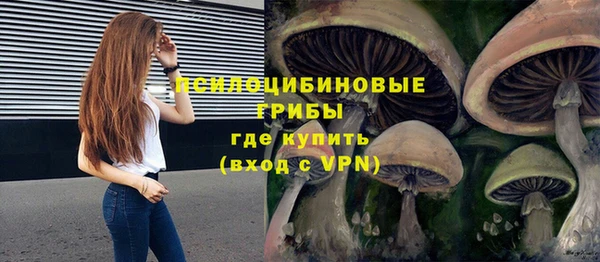 хмурый Осинники