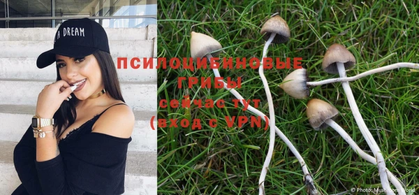 дурь Нязепетровск