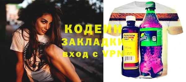хмурый Осинники