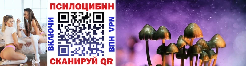 Псилоцибиновые грибы Cubensis  Ардатов 